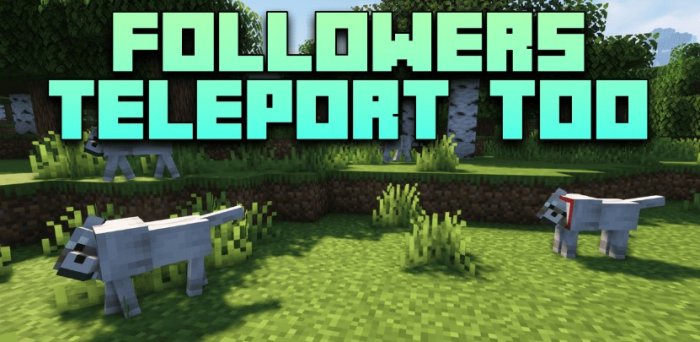 Followers Teleport Too для Майнкрафт [1.21.3, 1.21.1, 1.21]