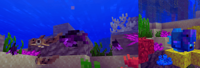 Rainbow Reef для Майнкрафт [1.20.1, 1.20]